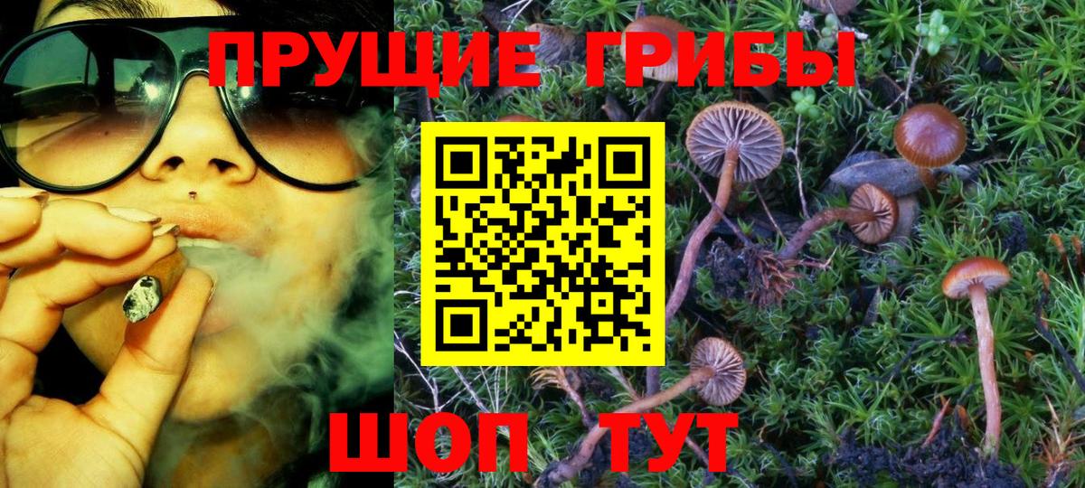 Тула  Псилоцибиновые грибы Cubensis  Галлюциногенные грибы мицелий  Вход с VPN 